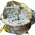 Fourme dAmbert AOC