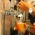Muito alm da Cerveja - Festival Beer Experience 