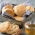 Biscoitos Buttermilk
