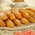 Bolinho de Arroz, Banana e Canela