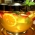 Drink Tropical