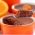 Mousse de Chocolate e Laranja