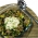 Salpico de Atum com Abacaxi