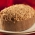 Colomba Pascal com cobertura de amndoa