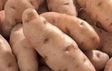 Batatas de A � Z