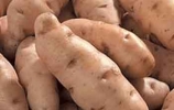 Batatas de A  Z