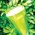 Suco Iluminado