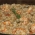 Risoto de camaro da 