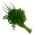 Cheiro Verde