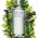 Rmy Cointreau lana gim The Botanist para o mercado de luxo brasileiro