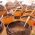 Restaurante Simetria apresenta o Simetria Weekend