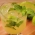 Receita de Mojito com a tradicional cachaa Brasileira
