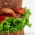 Hambrguer Caseiro  